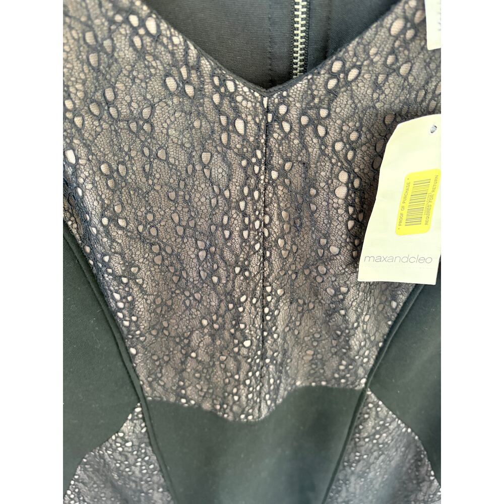 Max & Cleo Black Lace Panel Bodycon Dress Size 12 Cocktail Party Sheath - Picture 5 of 8